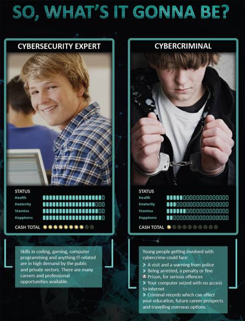 Cyber Crime vs Cyber Security what will you choose? Poster Europol