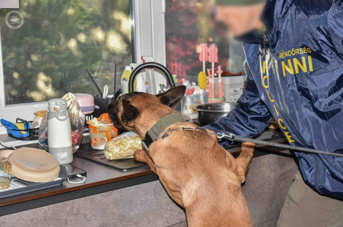 Strike against synthetics: authorities seize tonnes of chemicals in Central and Eastern Europe &ndash; Emerging trends and strategies to combat synthetic drug trafficking were key topics at Europol&rsquo;s annual Drugs Conference last week | Europol