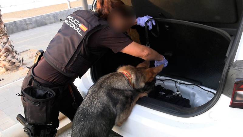 78 arrests in bust of major Western Mediterranean smuggling network in Spain