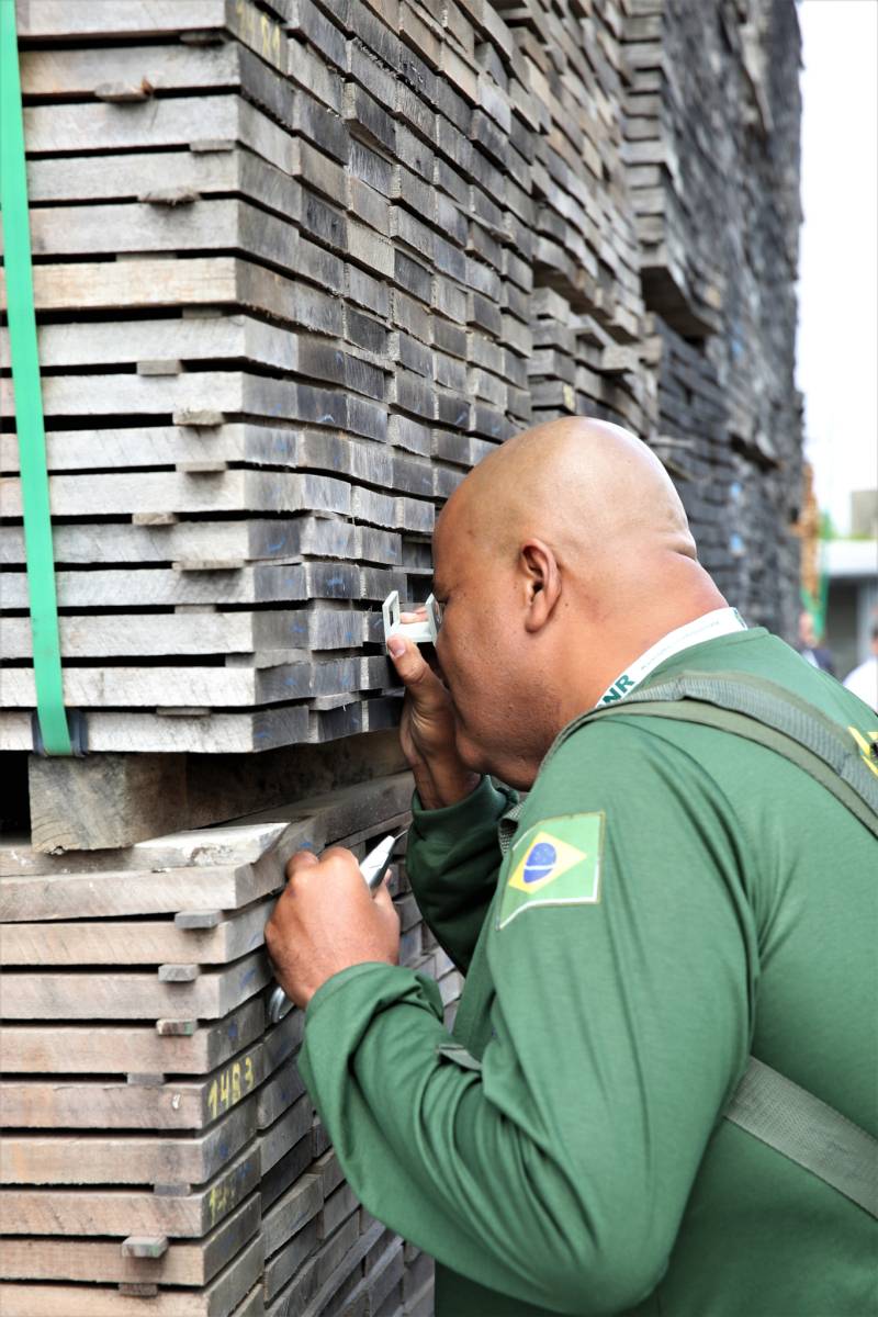 Illegal timber trade targeted in the EU and Brazil Europol