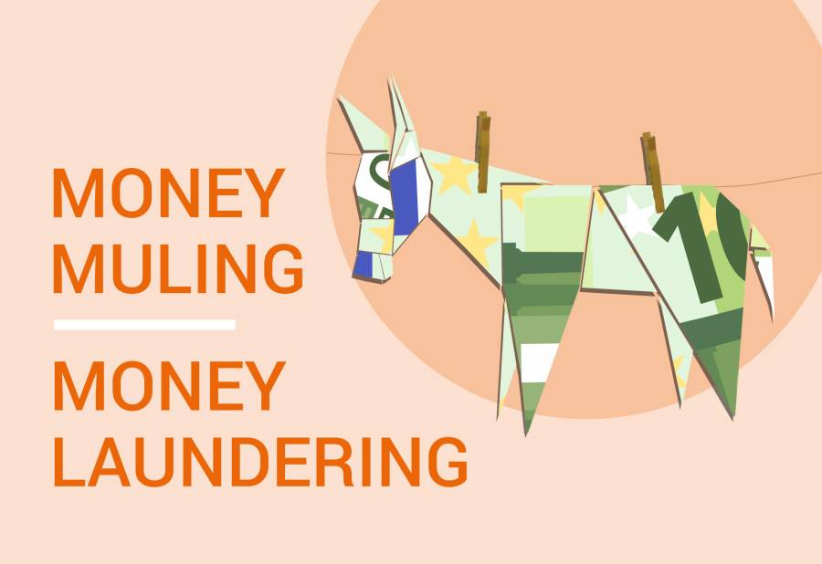 2 469 money mules arrested in worldwide crackdown against money