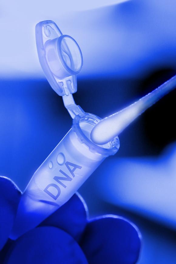 2010-3-Wegner-Germany