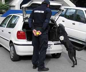 Customs dog (Croatia)