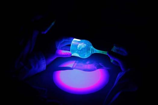 National Police (Spain)