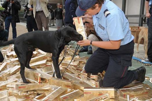 Directorate-General of Customs and Indirect Taxes (Direction générale des douanes et droits indirects)