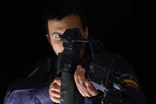 Customs Surveillance Directorate (Spain)