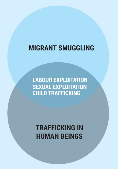 Links between migrant smuggling and trafficking in human beings